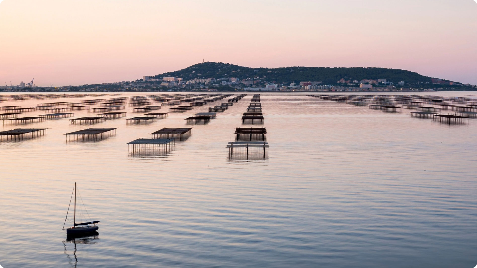 Toutes les vadrouilles 4 les-vadrouilles-de-karine-etang-de-thau