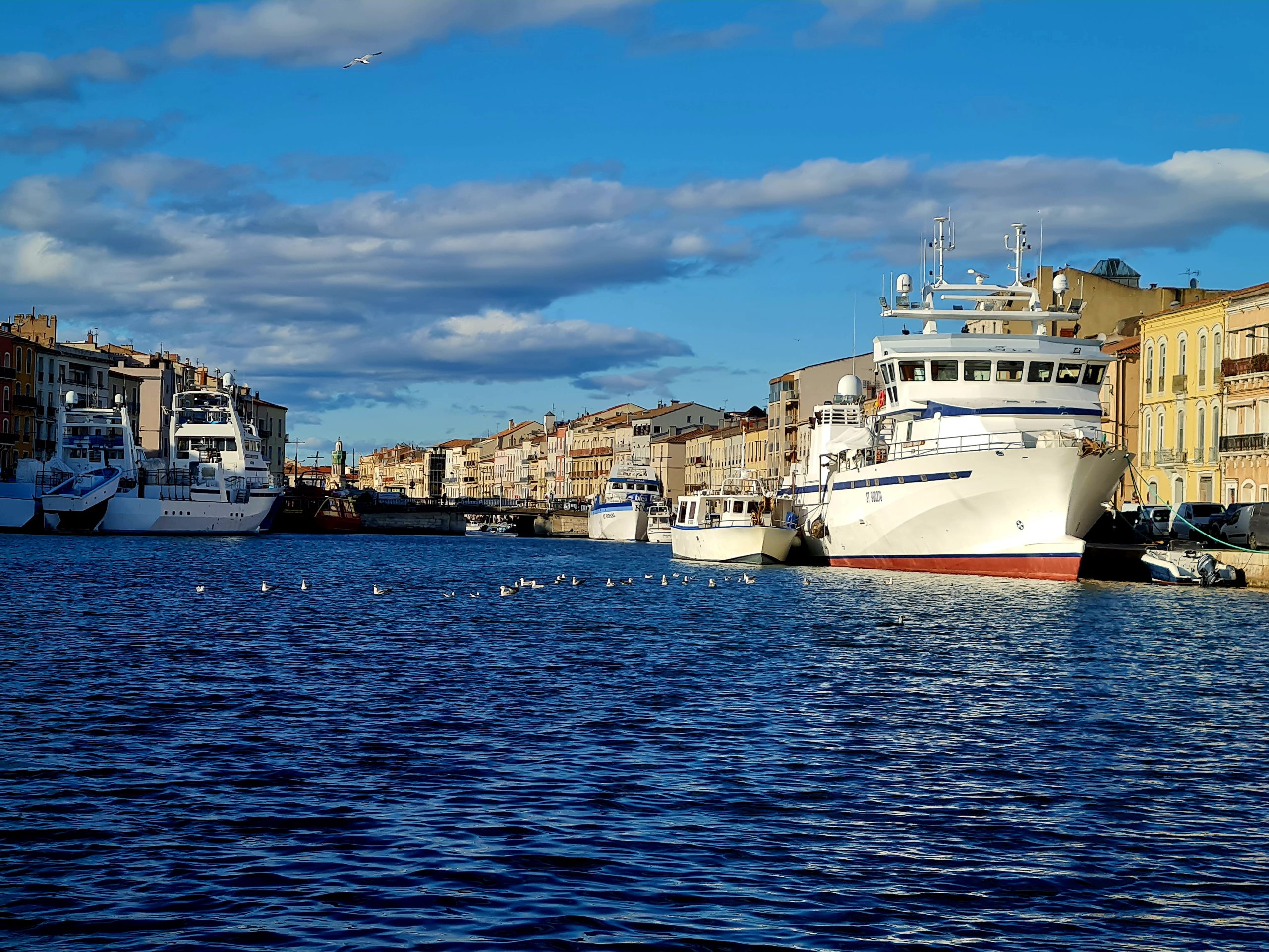 Les canaux du port de pèche et plaisance, Visite guidée Pittoresque à Sète, entre Terre et Mer